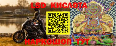 ГАЛЛЮЦИНОГЕННЫЕ ГРИБЫ Камышлов
