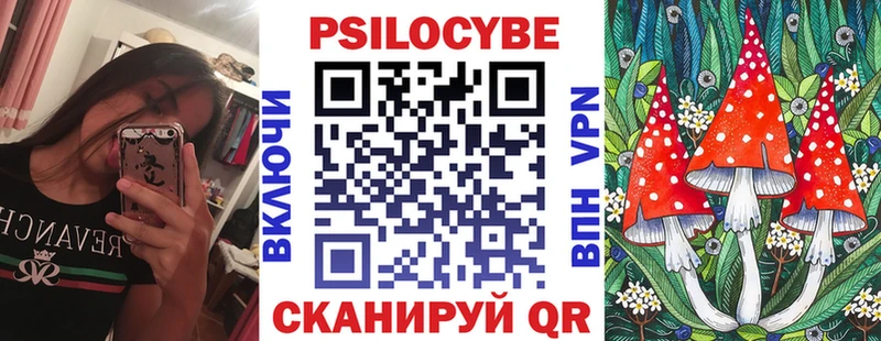 Псилоцибиновые грибы Psilocybe  где найти наркотики  Шали 
