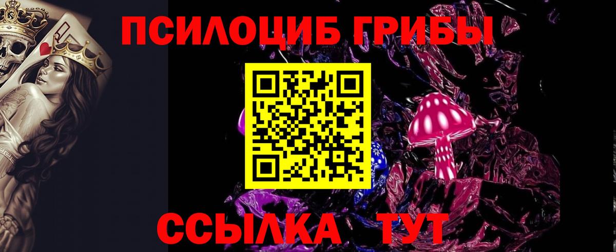 Псилоцибиновые грибы GOLDEN TEACHER  Шали 