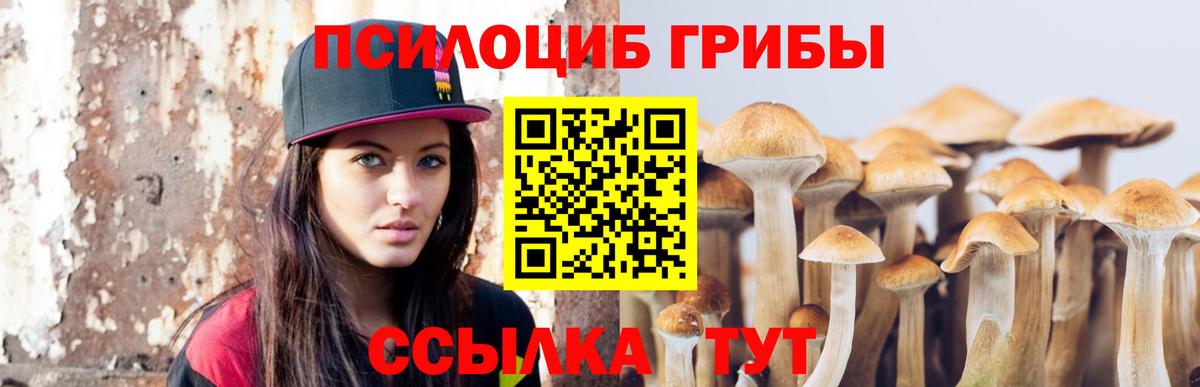 Шали  Галлюциногенные грибы Cubensis  Вход с VPN 